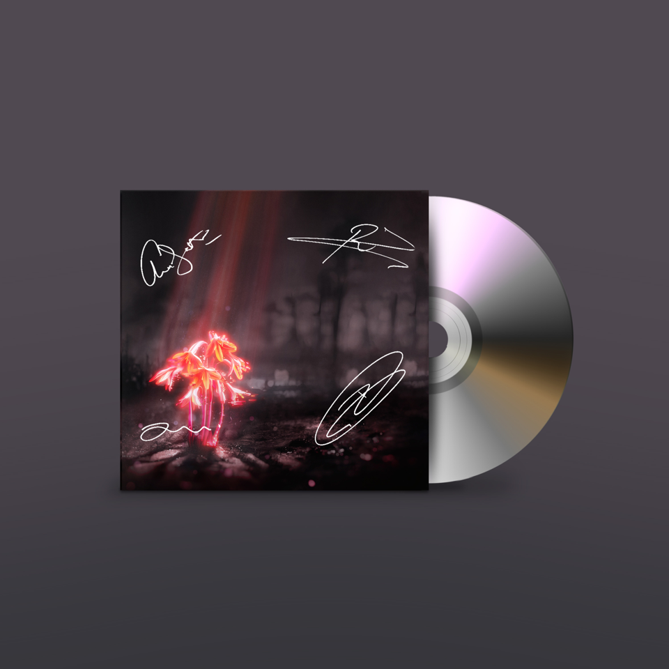A Kiss For The Whole World - CD - Hand Signed